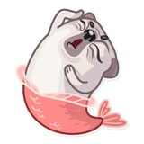 Water Pug WhatsApp Sticker #4