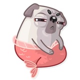 Water Pug WhatsApp Sticker #7