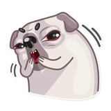 Water Pug WhatsApp Sticker #9