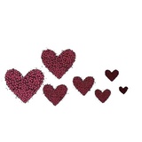 Love words WhatsApp Sticker #20