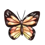 Sticker 80