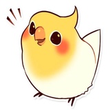 Coco Bird WhatsApp Sticker pack