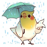 Coco Bird WhatsApp Sticker #10