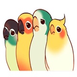 Coco Bird WhatsApp Sticker #12
