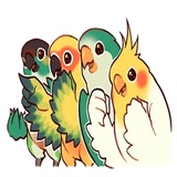 Coco Bird WhatsApp Sticker #13