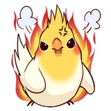 Coco Bird WhatsApp Sticker #15
