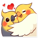 Coco Bird WhatsApp Sticker #19