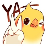 Coco Bird WhatsApp Sticker #2