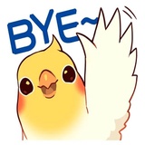 Coco Bird WhatsApp Sticker #5