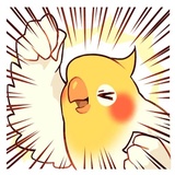 Coco Bird WhatsApp Sticker #6