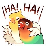 Coco Bird WhatsApp Sticker #7