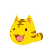 Yellow Kitten WhatsApp Sticker pack