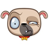 Zac The Pug WhatsApp Sticker #12