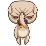 Zac The Pug WhatsApp Sticker #16
