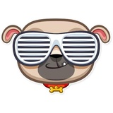 Zac The Pug WhatsApp Sticker #20