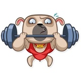 Zac The Pug WhatsApp Sticker #21