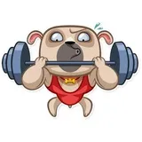 Sticker 21