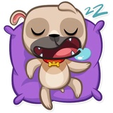 Zac The Pug WhatsApp Sticker #3