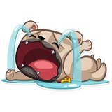 Zac The Pug WhatsApp Sticker #7
