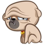 Zac The Pug WhatsApp Sticker #8