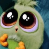 Angry Birds Photos WhatsApp Sticker #10