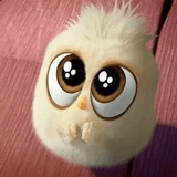 Angry Birds Photos WhatsApp Sticker #11
