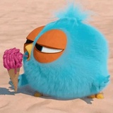 Angry Birds Photos WhatsApp Sticker #12