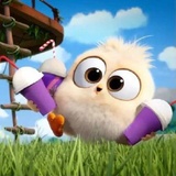 Angry Birds Photos WhatsApp Sticker #13