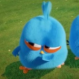 Angry Birds Photos WhatsApp Sticker #2