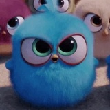 Angry Birds Photos WhatsApp Sticker #20