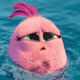 Angry Birds Photos WhatsApp Sticker #21