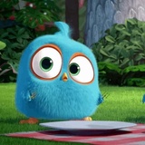 Angry Birds Photos WhatsApp Sticker #22