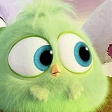 Angry Birds Photos WhatsApp Sticker #25