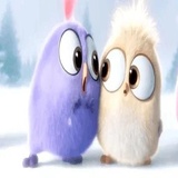 Angry Birds Photos WhatsApp Sticker #28