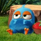 Angry Birds Photos WhatsApp Sticker #29