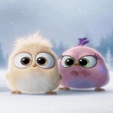 Angry Birds Photos WhatsApp Sticker #7