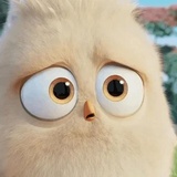 Angry Birds Photos WhatsApp Sticker #8