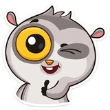 Bin the Lemur WhatsApp Sticker #2