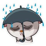 Bin WhatsApp Sticker #29