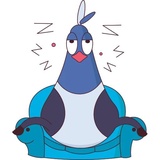 Bird Pigeon WhatsApp Sticker #4