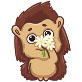 Birthday collections WhatsApp Sticker #16