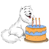 Birthday collections WhatsApp Sticker #3