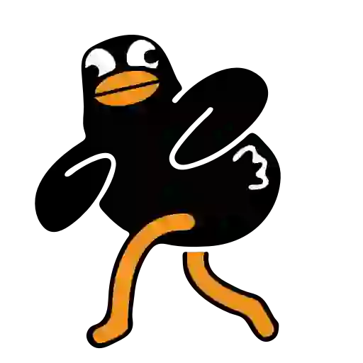 Black Duck