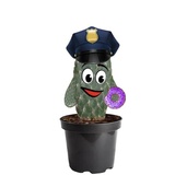 Cactus WhatsApp Sticker #10