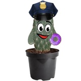 Cactus WhatsApp Sticker #11