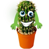 Cactus WhatsApp Sticker #2