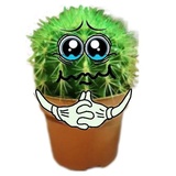 Cactus WhatsApp Sticker #3