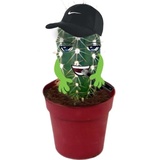 Cactus WhatsApp Sticker #7