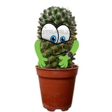 Cactus WhatsApp Sticker #9