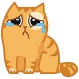 Persik WhatsApp Sticker #11